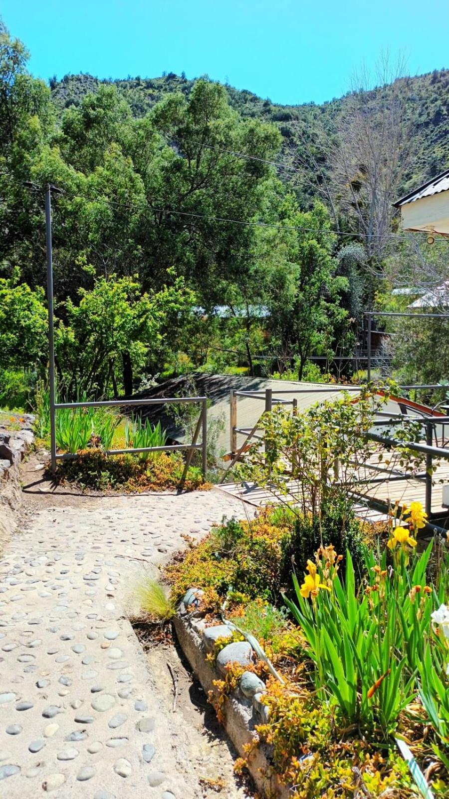 Hostal Los Penones Сан-Альфонсо Екстер'єр фото